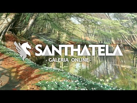 Dia de Primavera em Saeby 🌿🍃🌿